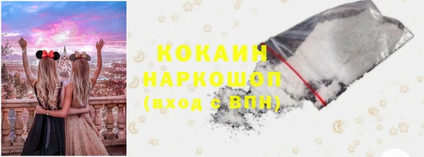 индика Богданович