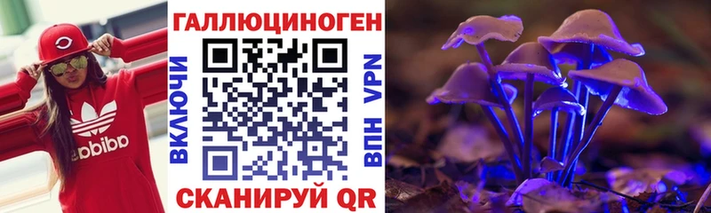 Псилоцибиновые грибы Psilocybine cubensis  Оха 