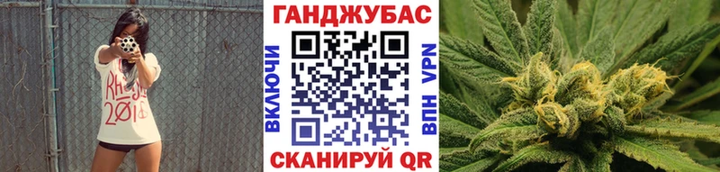 Шишки марихуана план  наркотики  Оха 